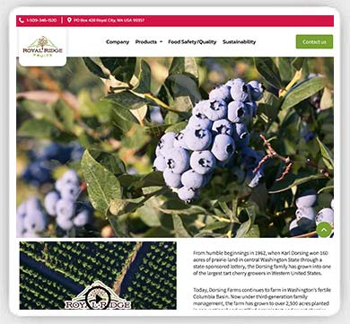 Html Development Web Design for SEO Success