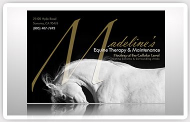 Madeline's Equine therapy & Maintenance