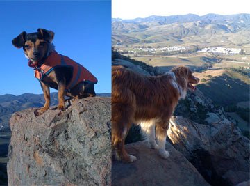 The View from Bishop's Peak